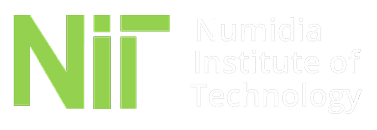 Numidia Institute of Technology Logo